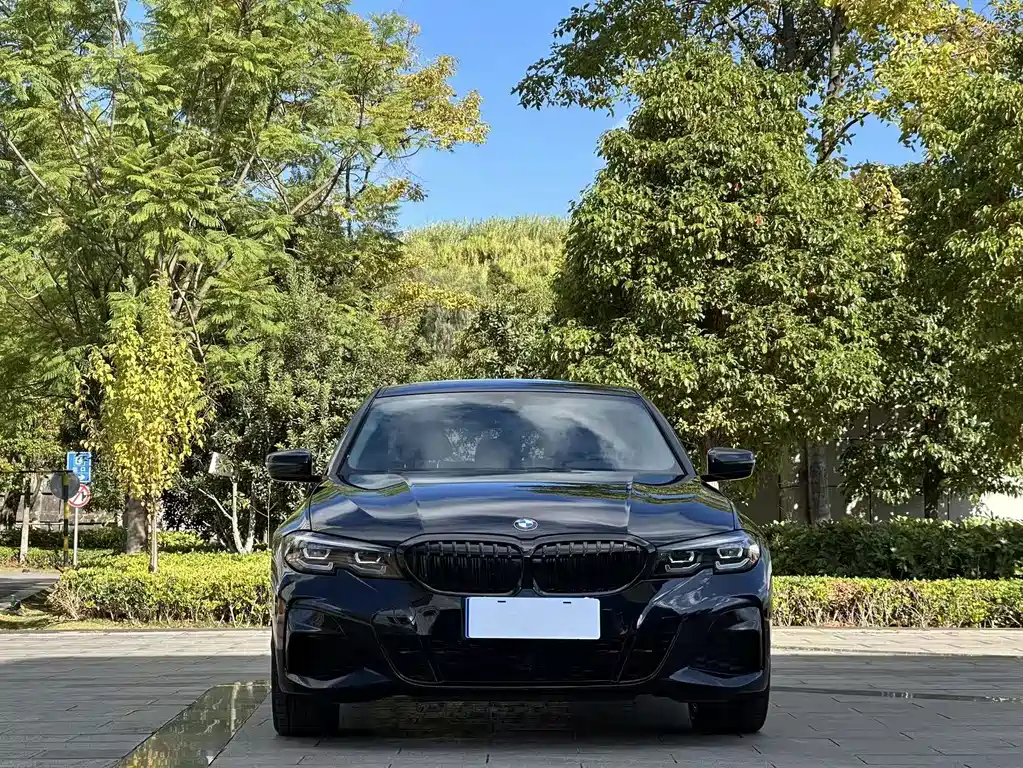 BMW 3 Series — миниатюра 2