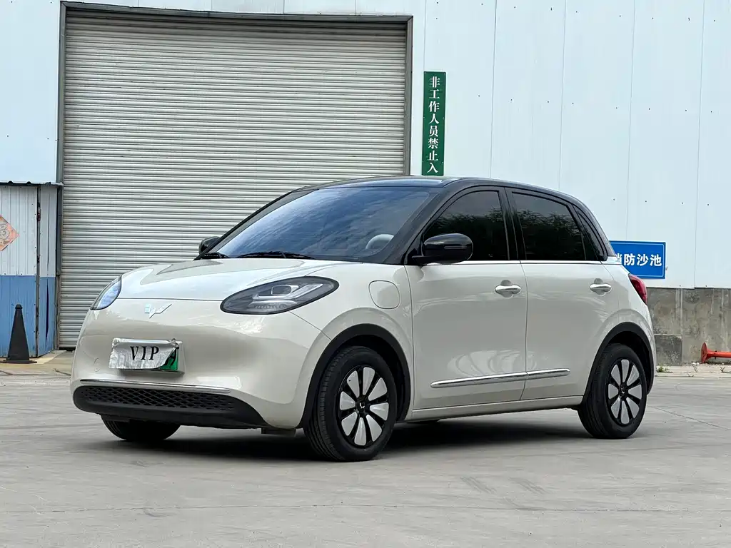 Wuling Bingo