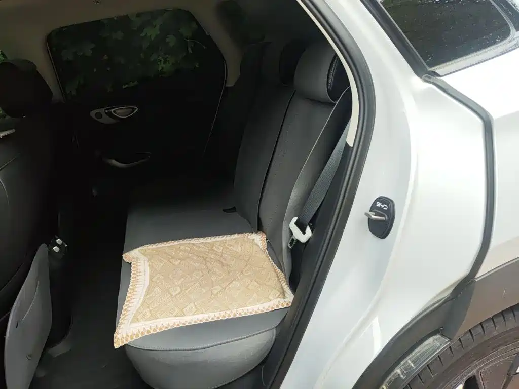 BYD Sealion 05 EV — миниатюра 13