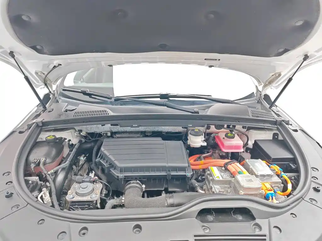 BYD Tang 2018 DM 2.0T 7 мест V