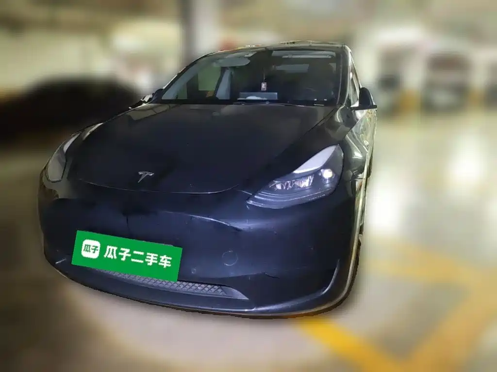 Tesla Model Y — миниатюра 2