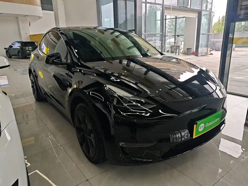 Tesla Model Y — миниатюра 4