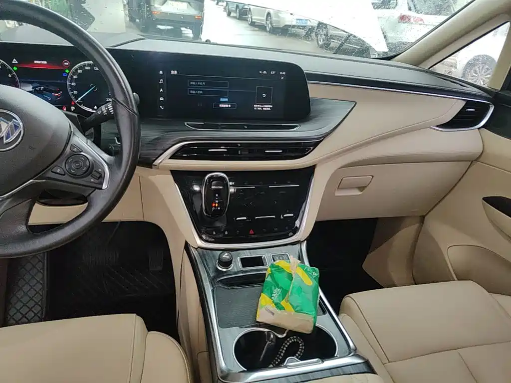 Buick GL8 — миниатюра 13