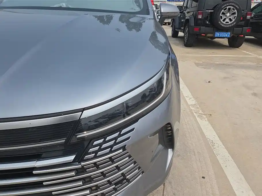BYD Destroyer 05 2024 DM-i 55KM Luxury