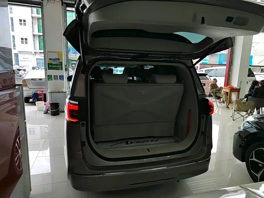 Buick GL8 — миниатюра 19