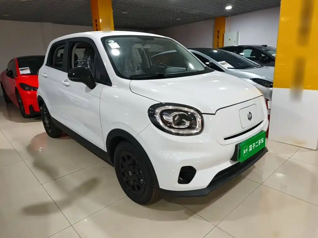 Leapmotor T03 2025 310