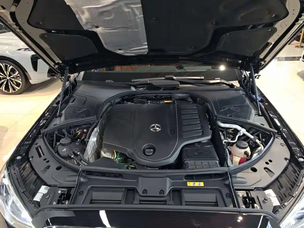 Mercedes-Benz S-Class — миниатюра 13