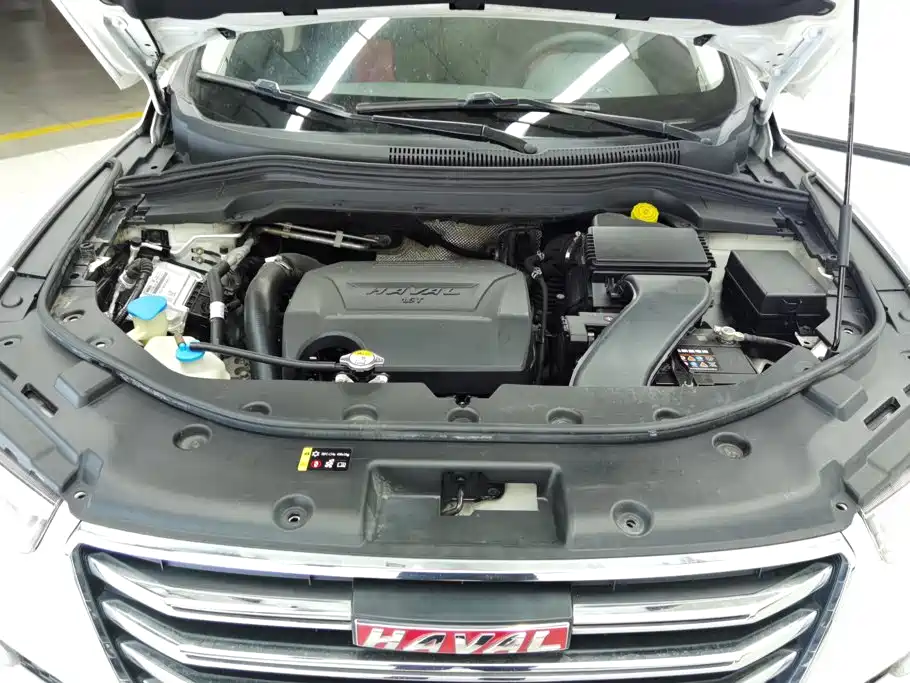 Haval H2s — миниатюра 10
