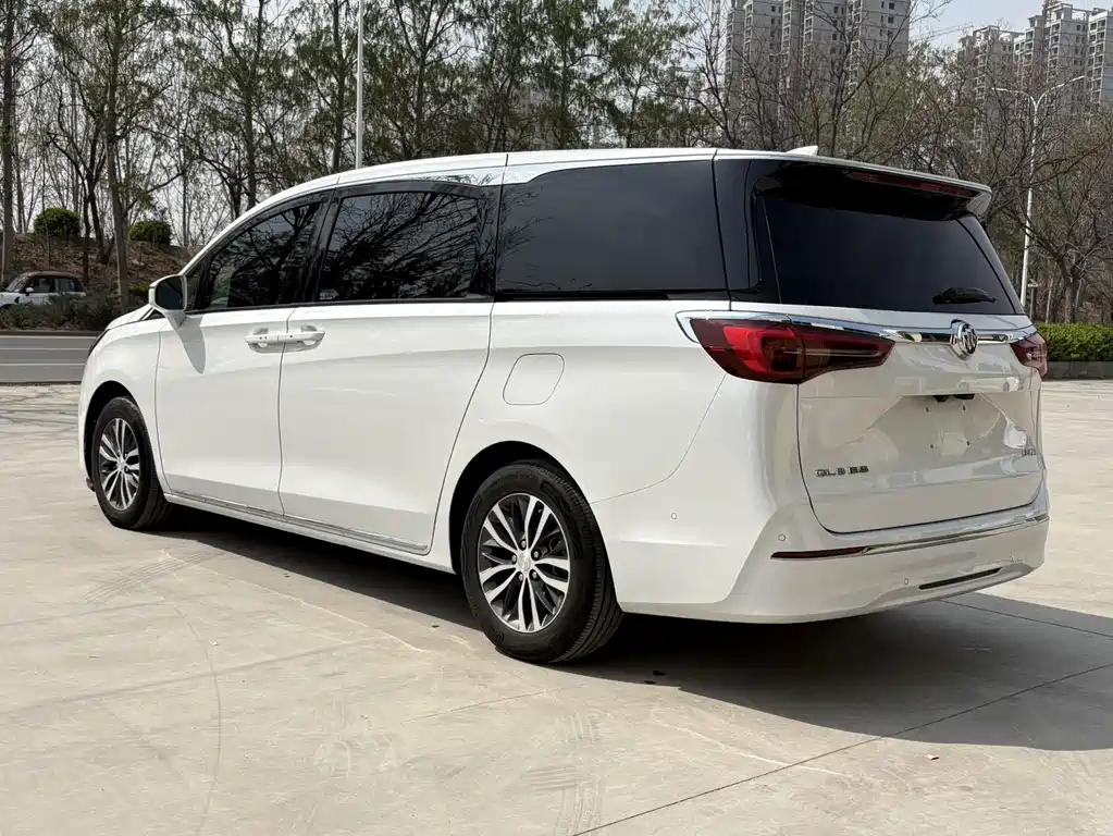 Buick GL8 — миниатюра 4