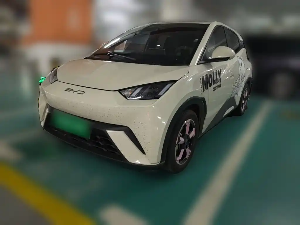 BYD Seagull