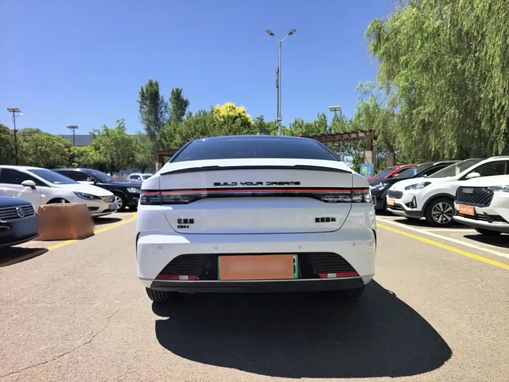 BYD Destroyer 05 2024 DM-i 55KM Luxury