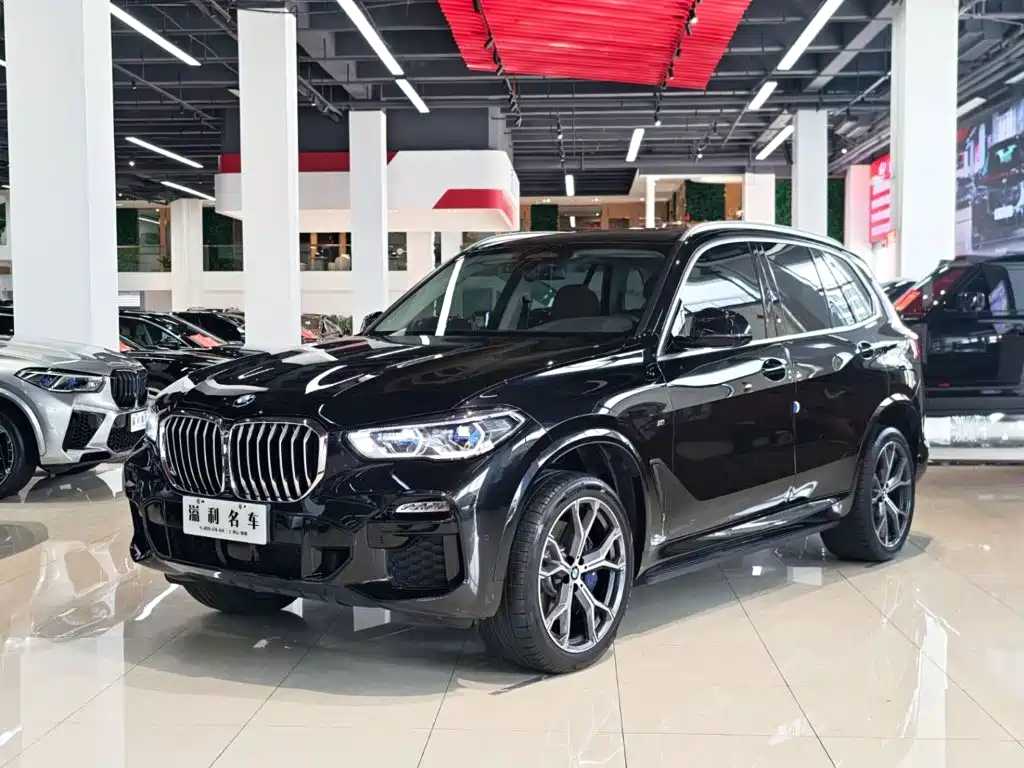 BMW X5 (Import) — миниатюра 5