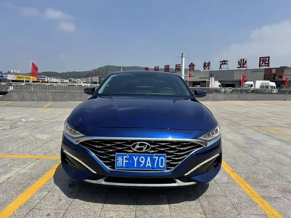 Hyundai Fista — миниатюра 2