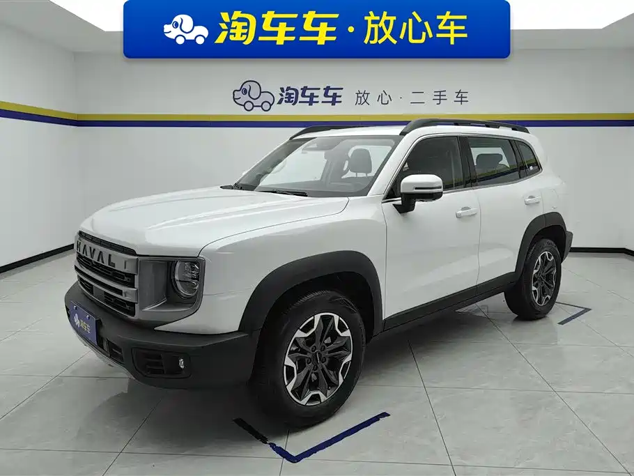 HAVAL BIG DOG