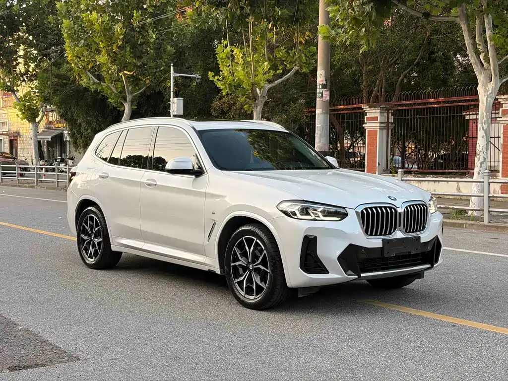 BMW X3 — миниатюра 3