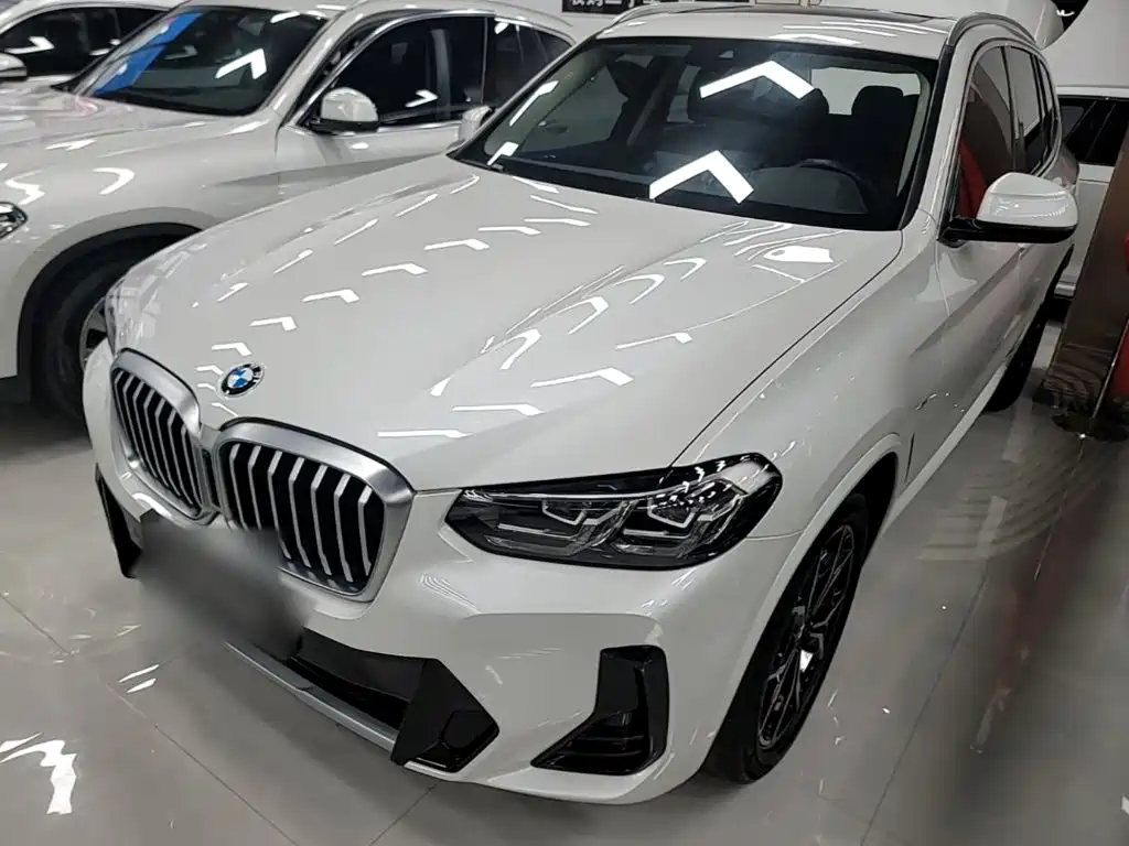 BMW X3 — миниатюра 2
