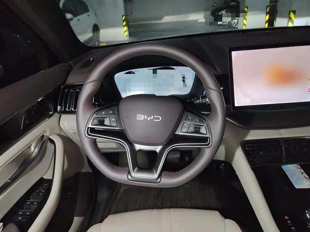 BYD PLUS New Energy — миниатюра 3