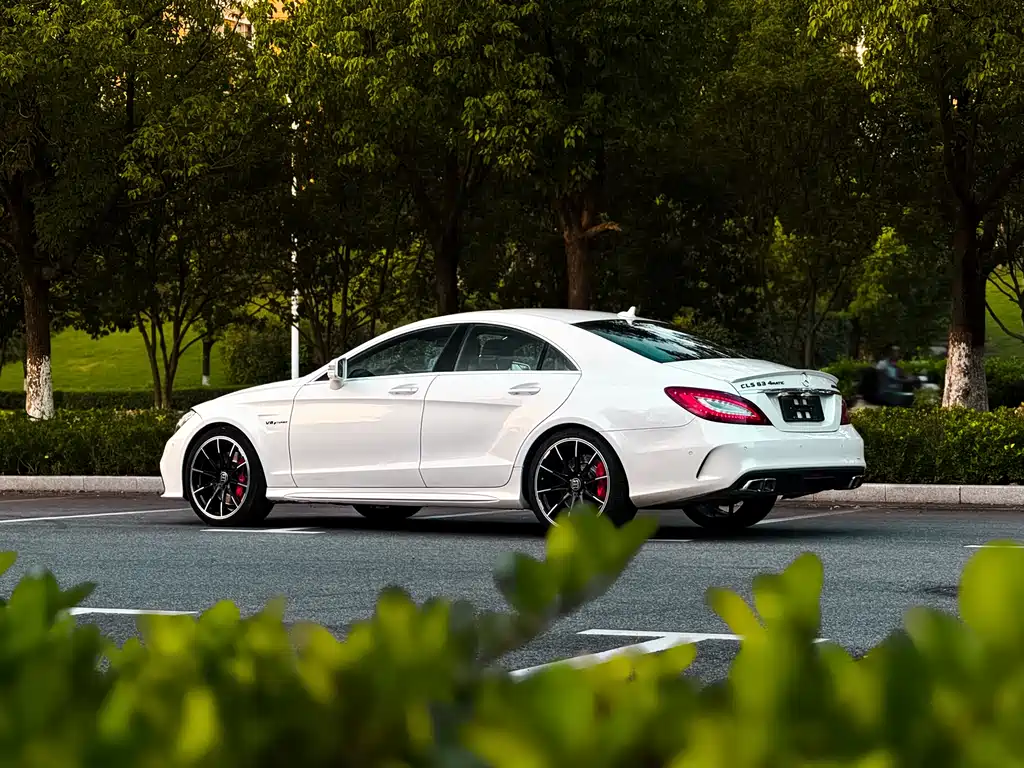 Mercedes-Benz CLS AMG AMG CLS 63 4MATIC, фото 14