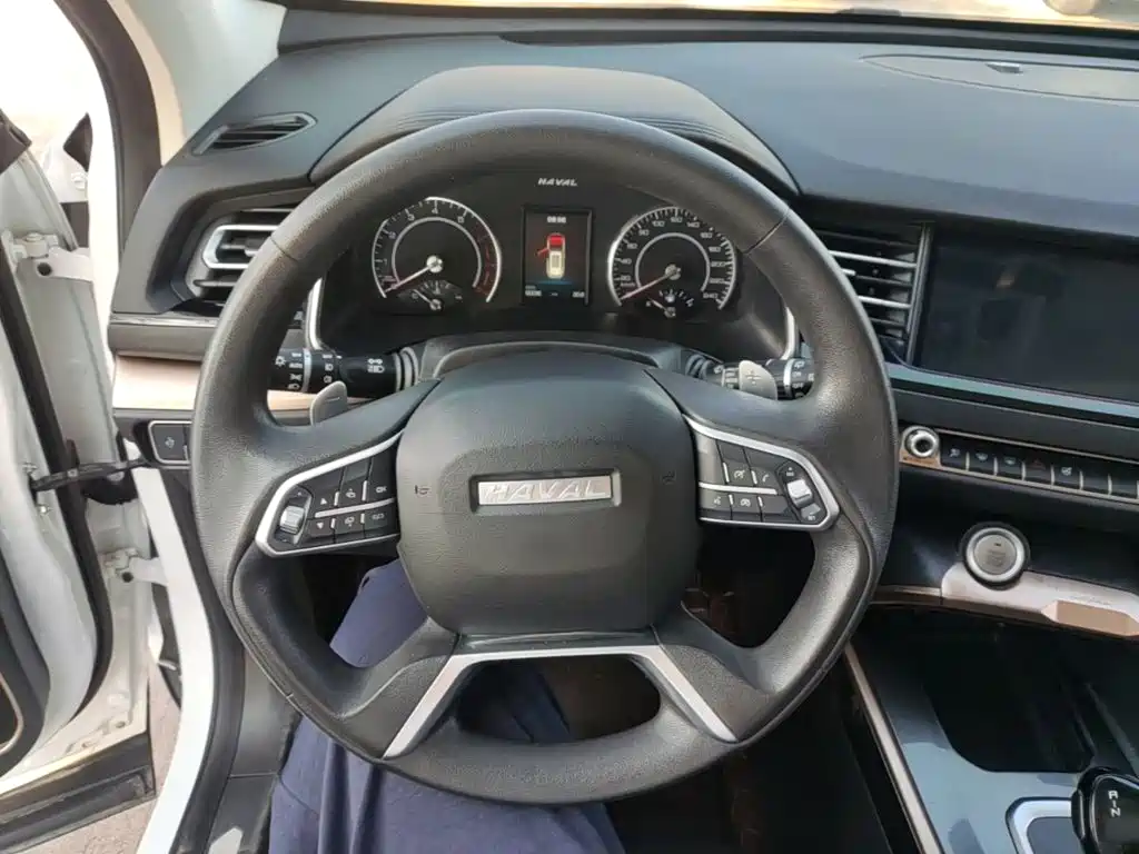 Haval H6 — миниатюра 11