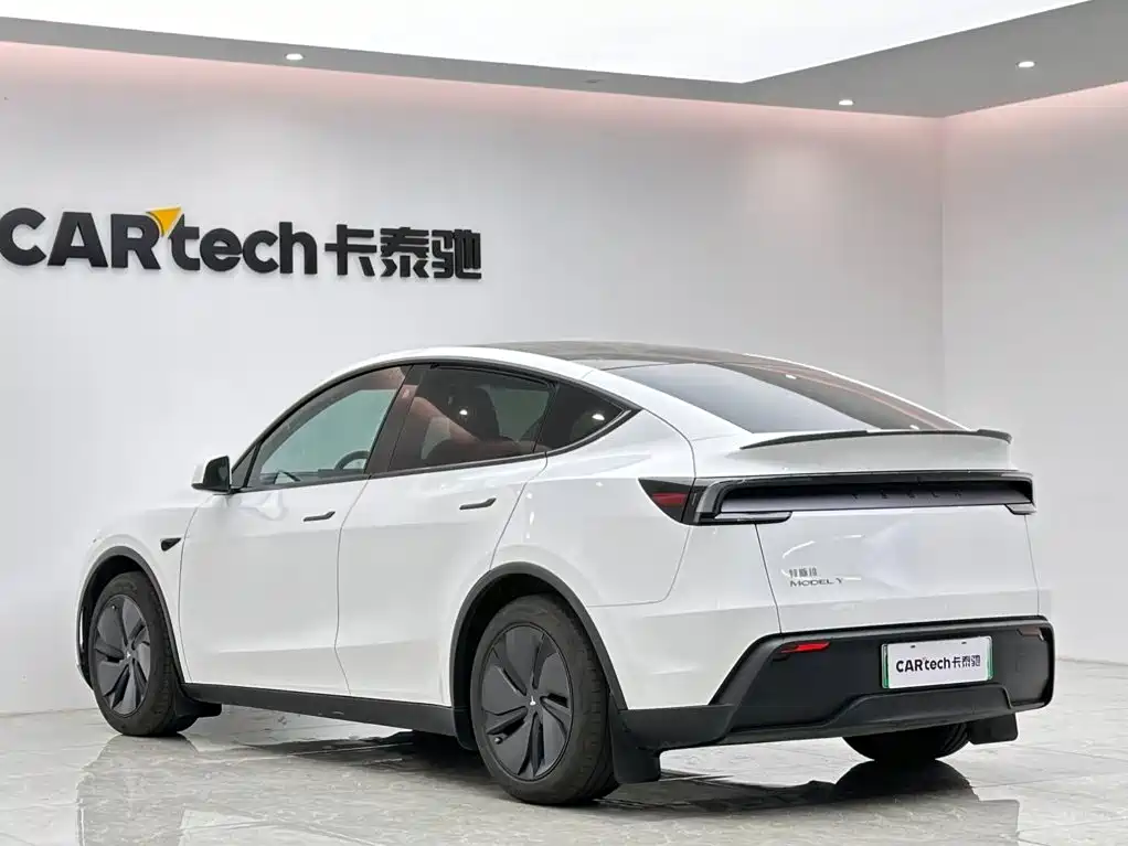 Tesla Model Y — миниатюра 3