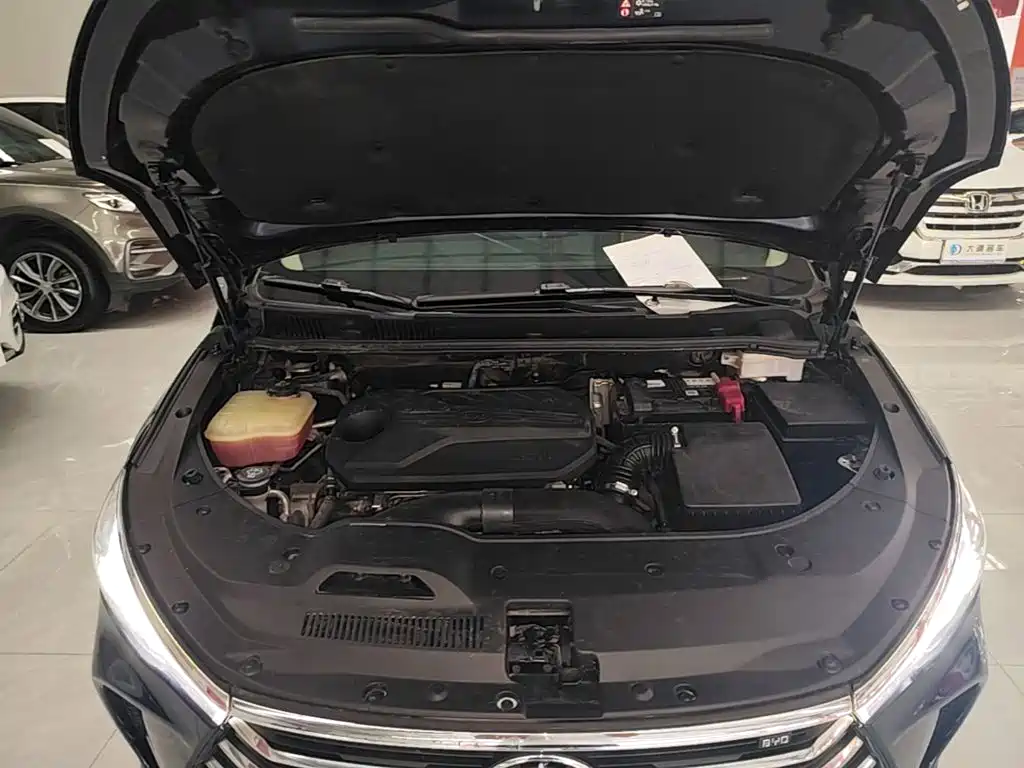 BYD MAX — миниатюра 20