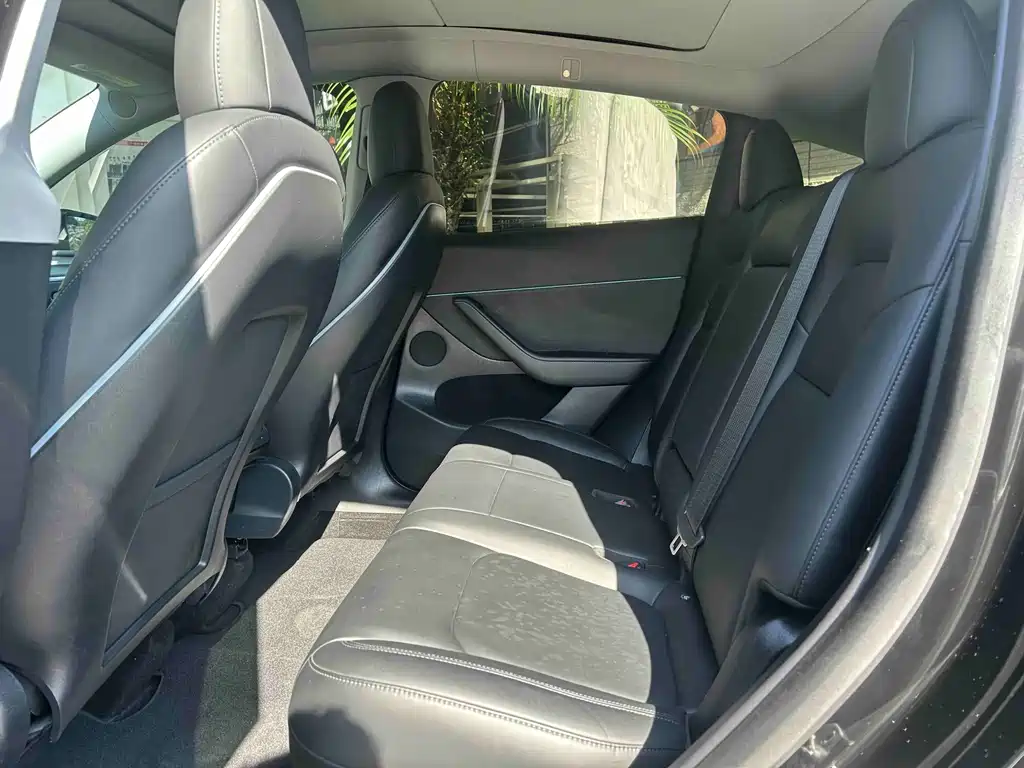 Tesla Model Y — миниатюра 11