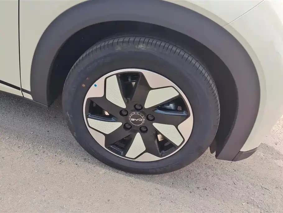BYD Dolphin 2025 420km Freedom