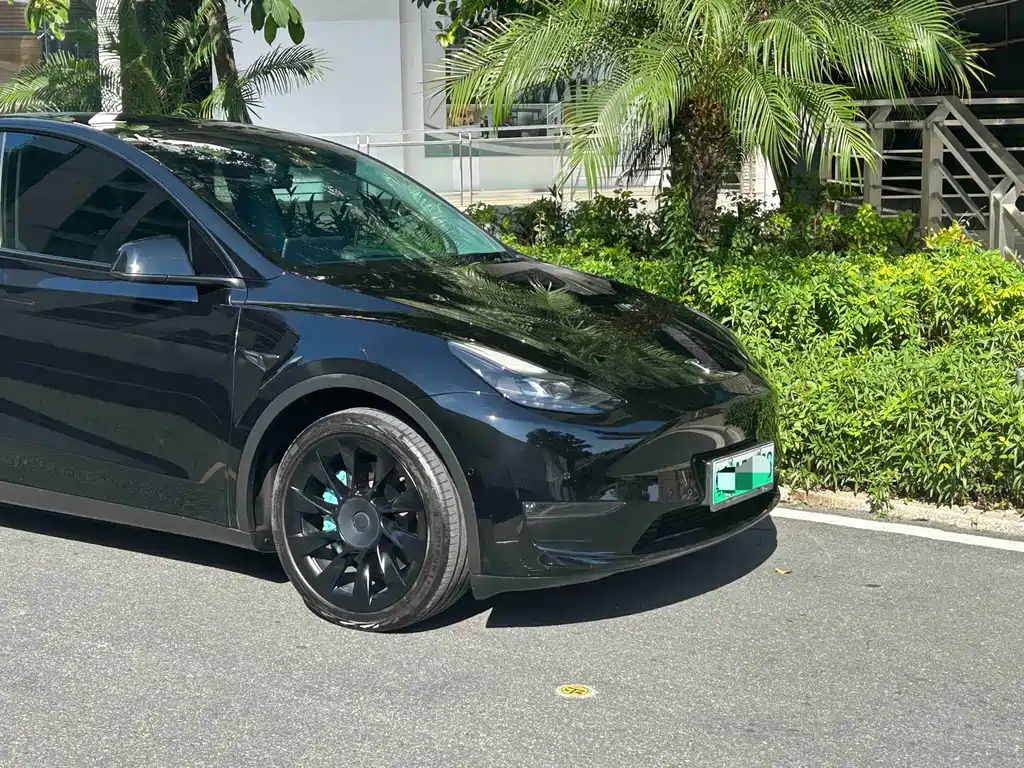 Tesla Model Y — миниатюра 8