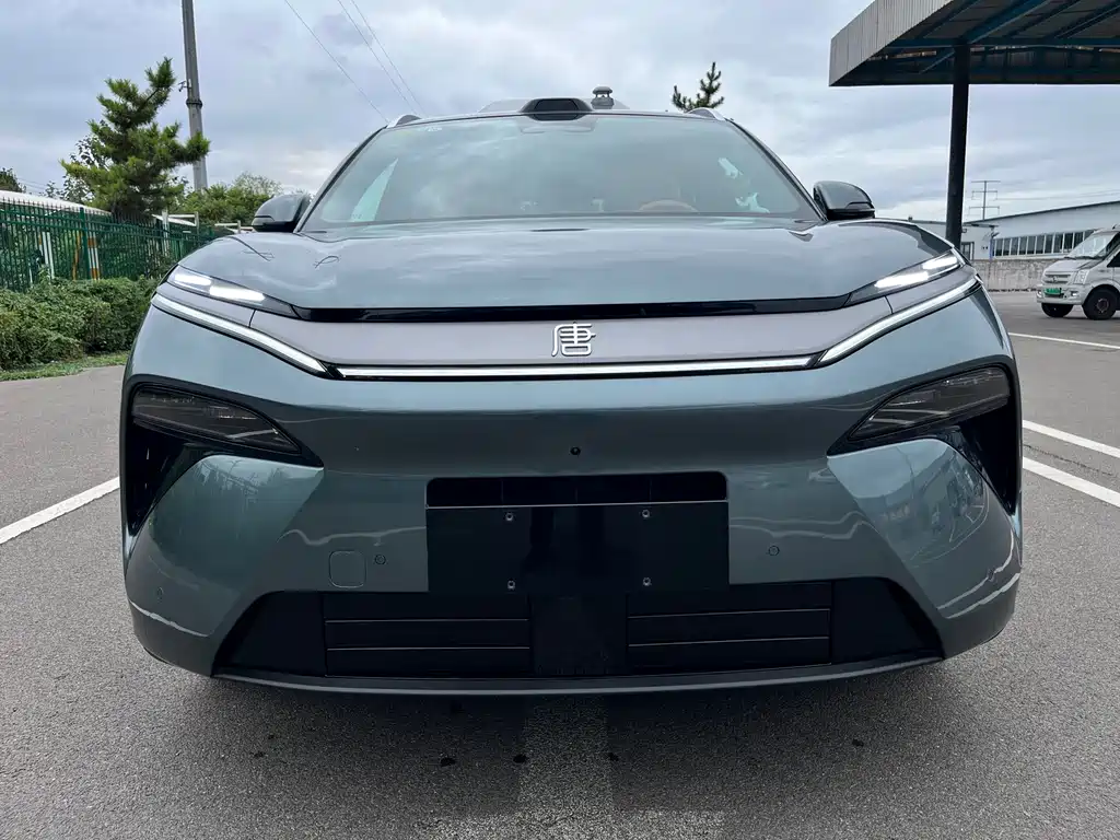 BYD Tang L — миниатюра 2