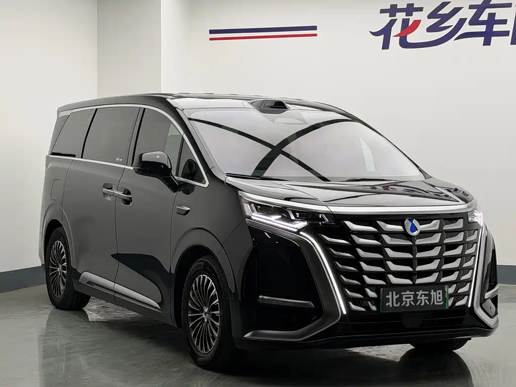 Denza Denza D9 — миниатюра 3