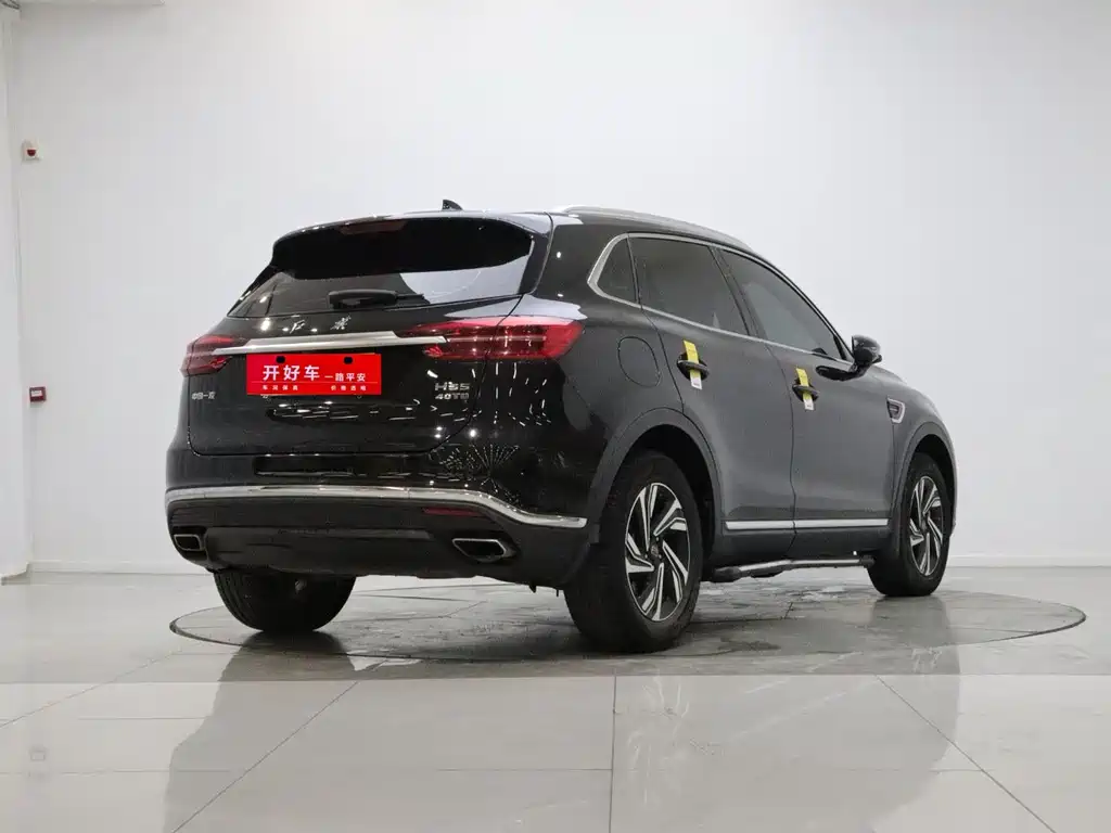Hongqi Hongqi HS5 — миниатюра 4