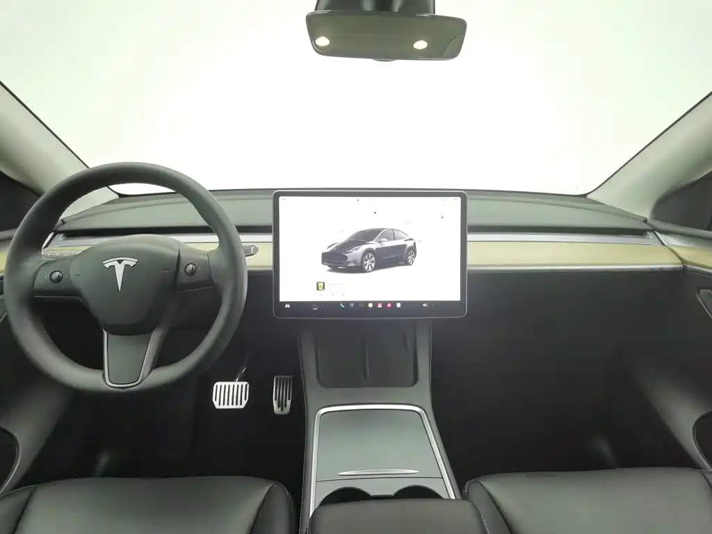 Tesla Model Y — миниатюра 5