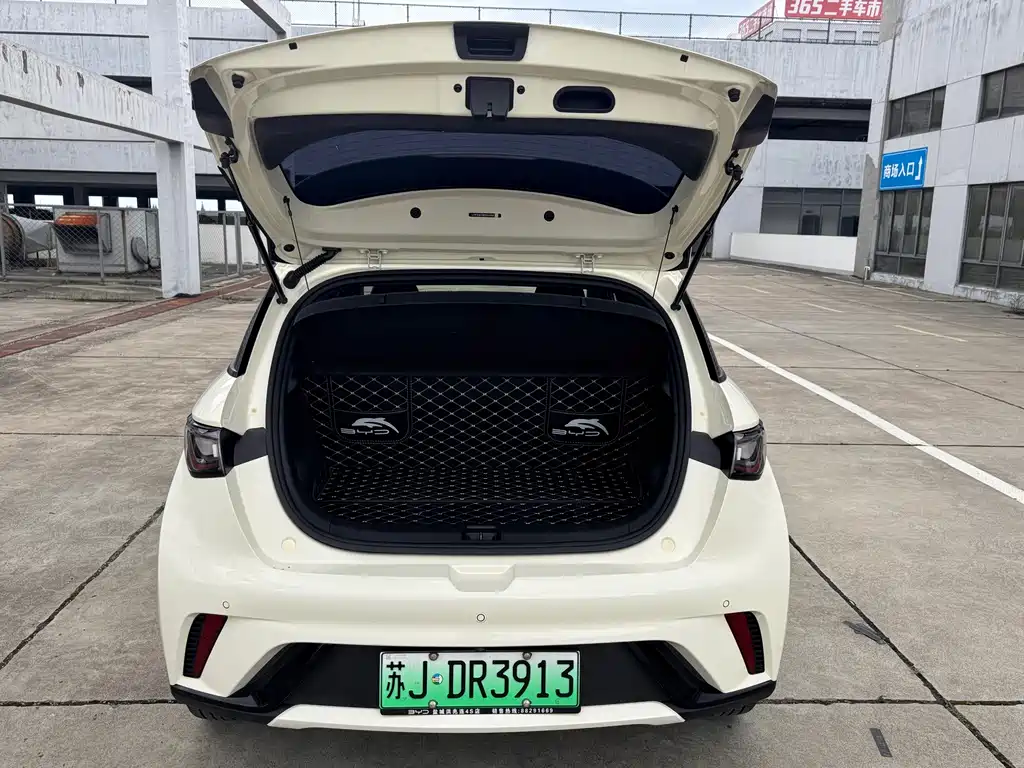 BYD Dolphin — миниатюра 15