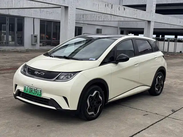 BYD Dolphin