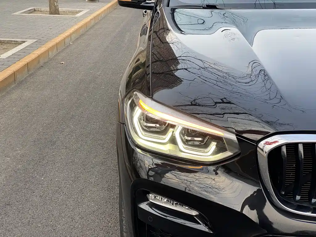 BMW X3 2019 xDrive30i Lead M Sport