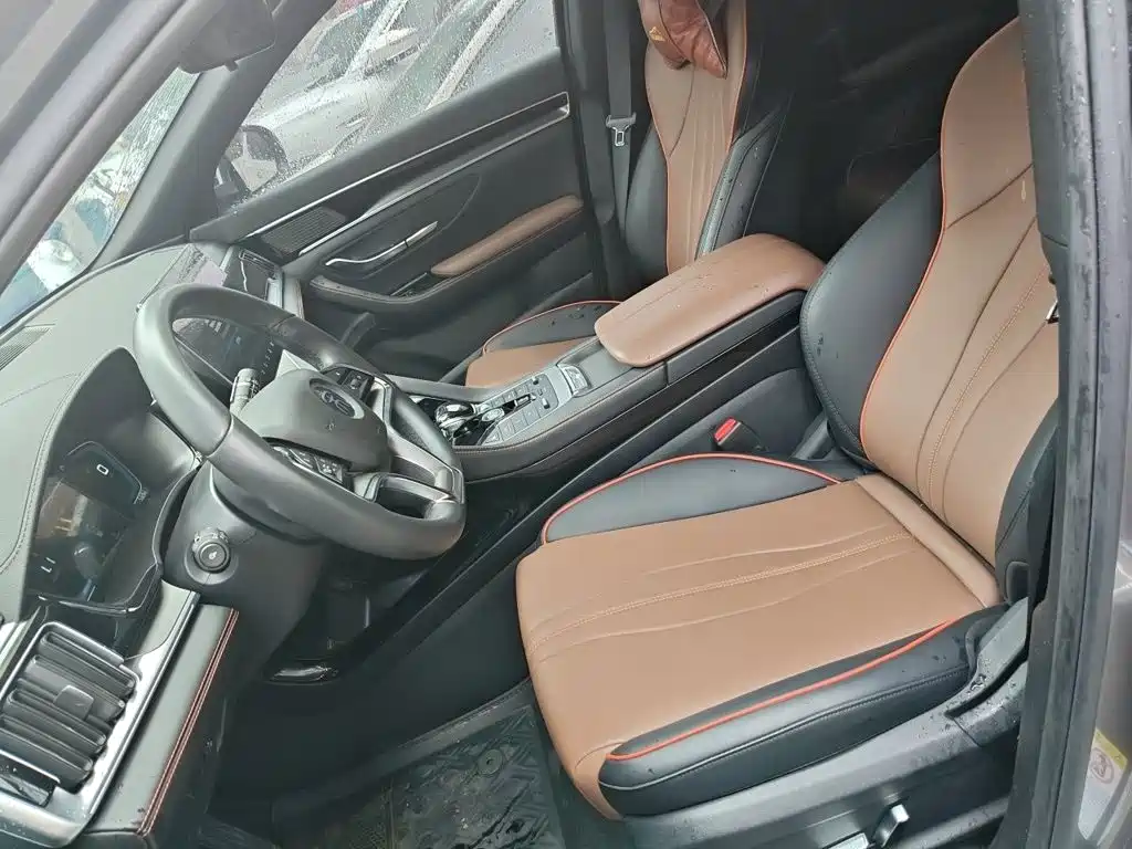 BYD PLUS — миниатюра 8