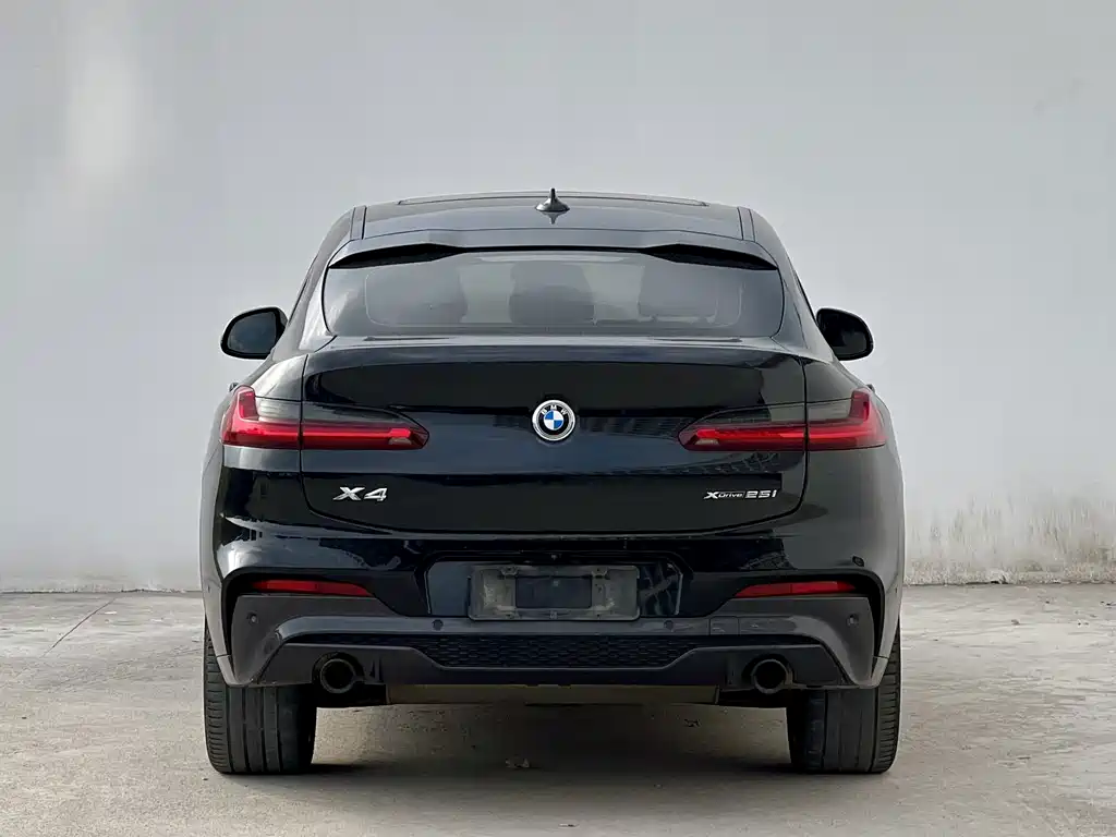 BMW X4 — миниатюра 8
