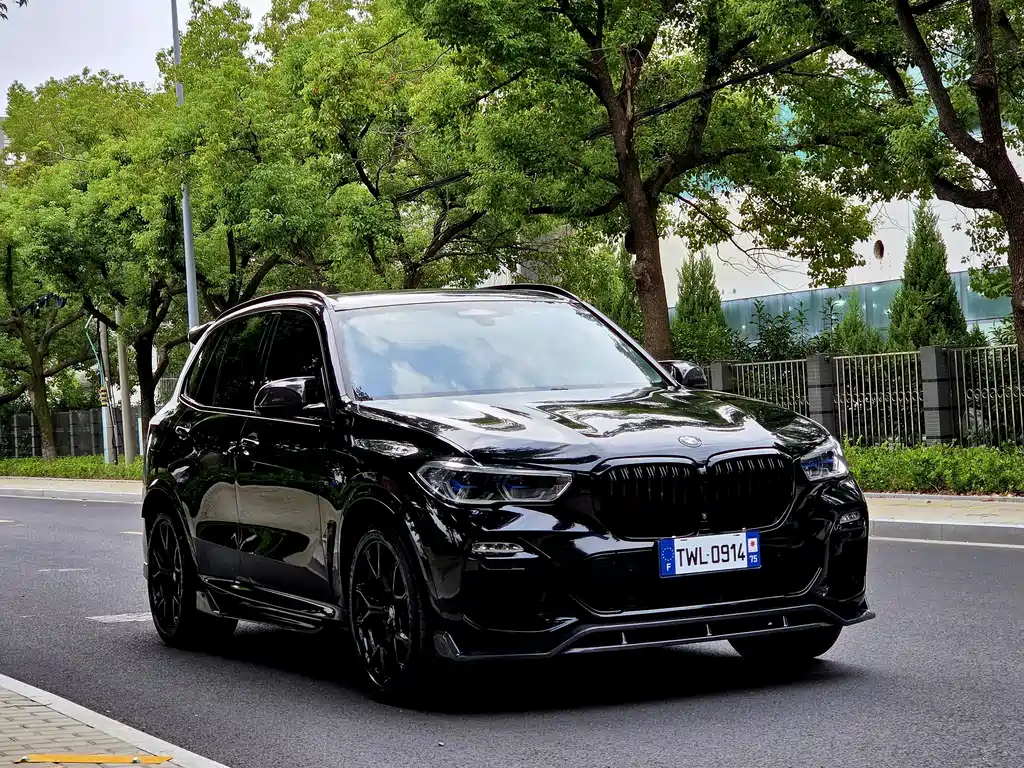BMW X5 (Import) — миниатюра 3