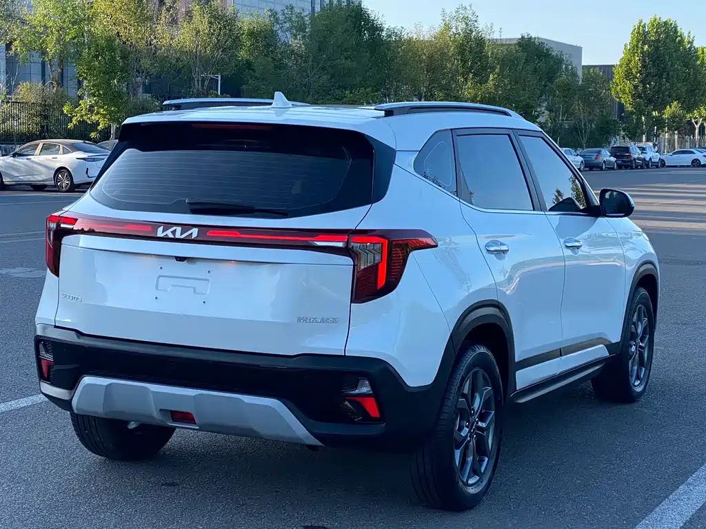 Kia Seltos — миниатюра 13
