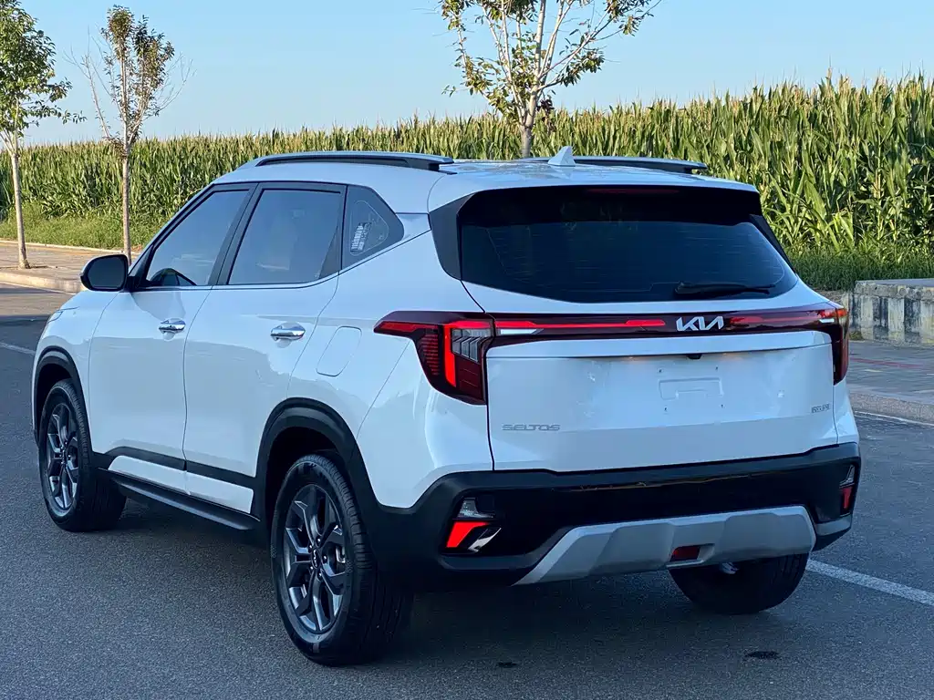 Kia Seltos — миниатюра 15