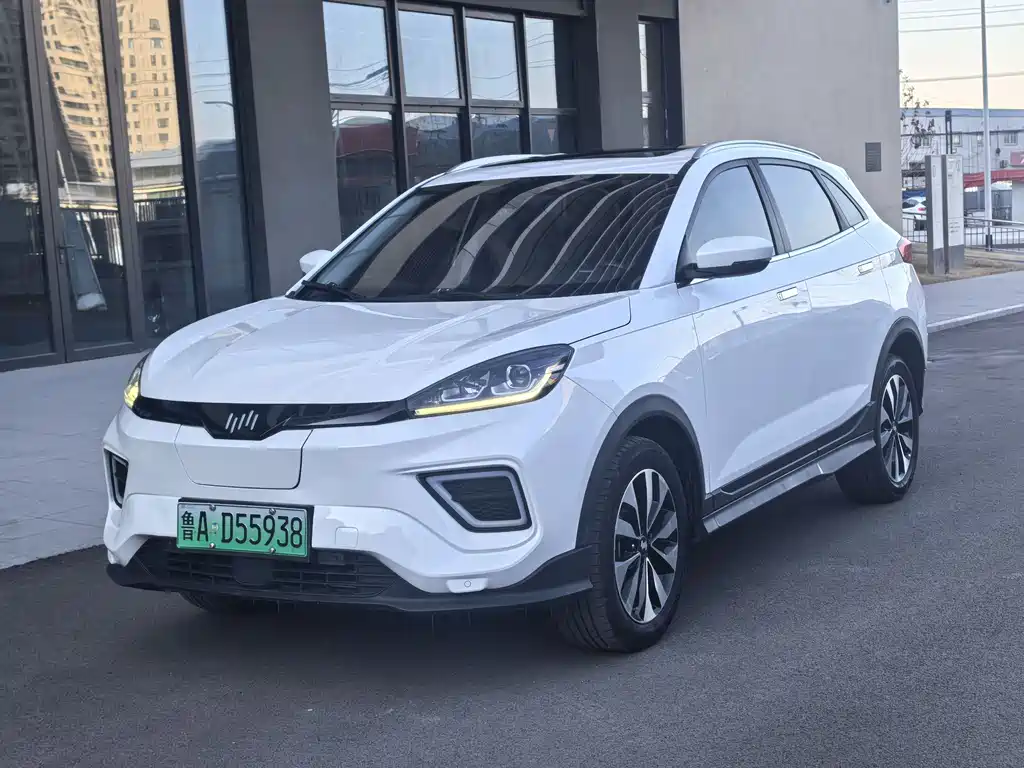 Weltmeister WEIMA EX5