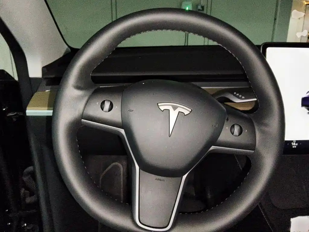 Tesla Model Y — миниатюра 3