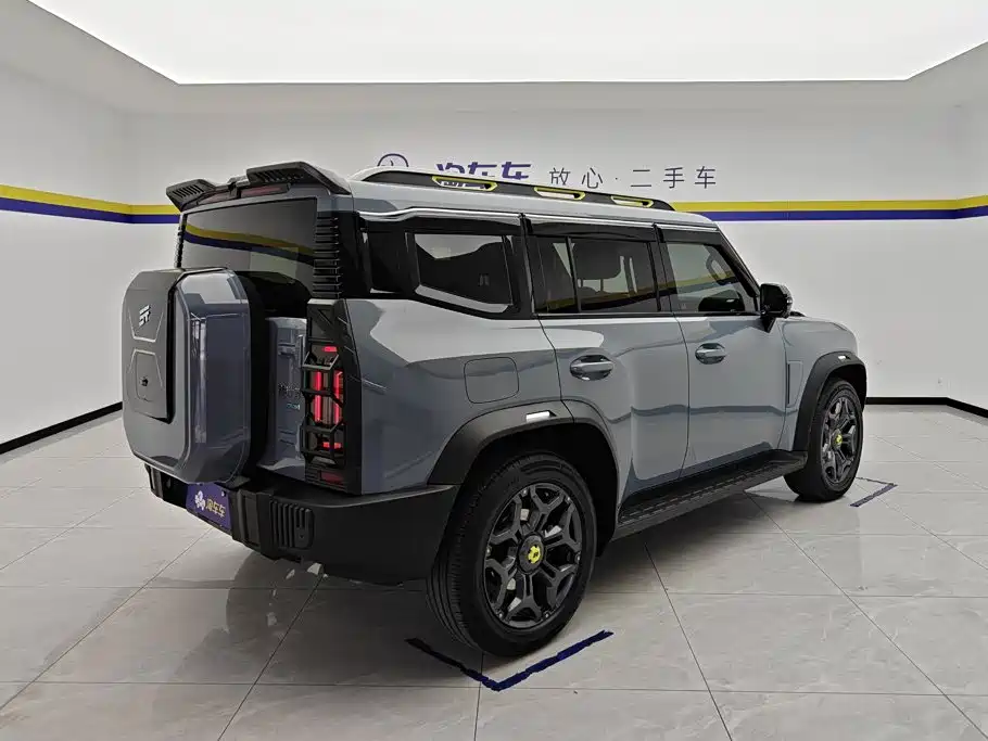 Shanhai Traveller C-DM — миниатюра 3