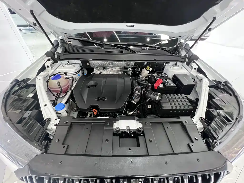 Chery Tiggo 7 PLUS — миниатюра 21