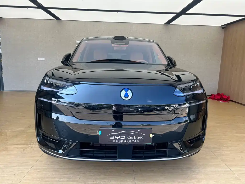 Denza Denza N9 — миниатюра 2