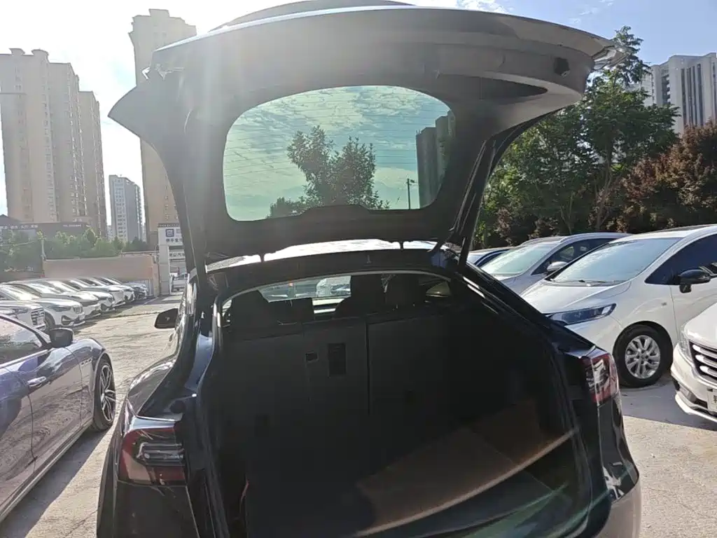 Tesla Model Y — миниатюра 19