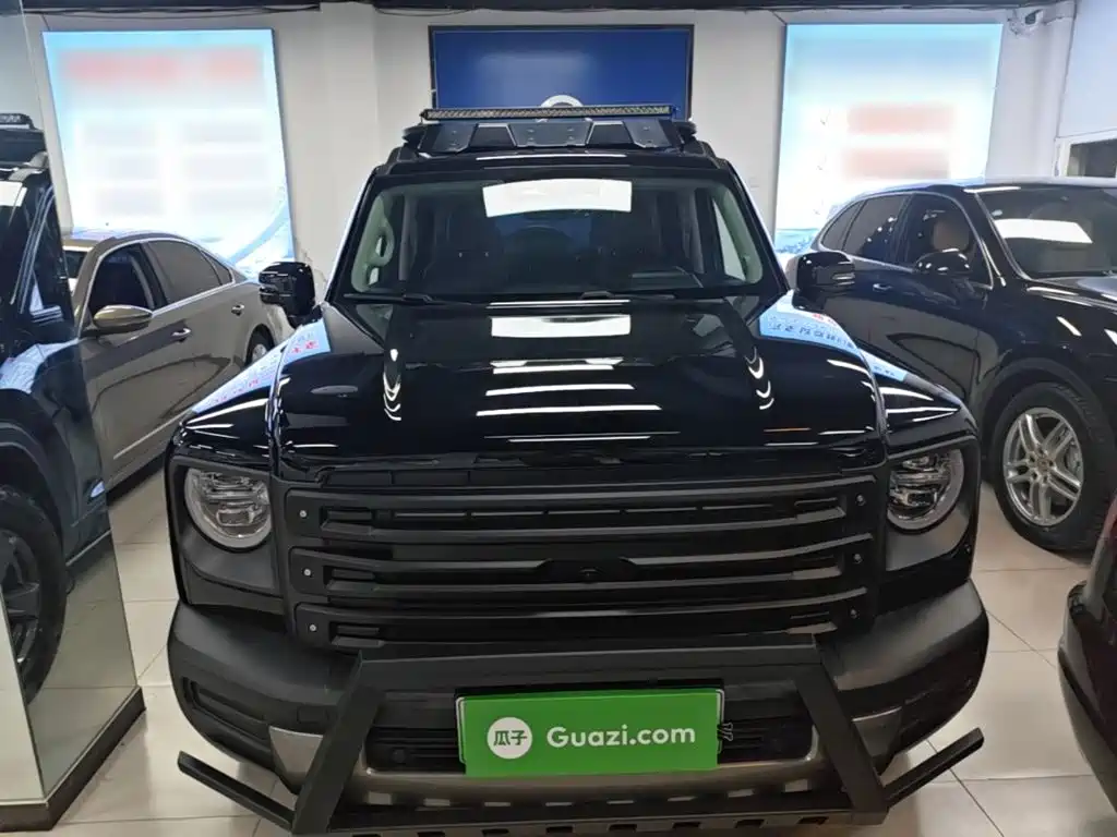 Haval Menglong New Energy — миниатюра 3