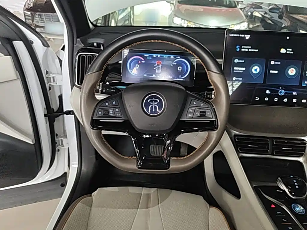 BYD Pro New Energy — миниатюра 11