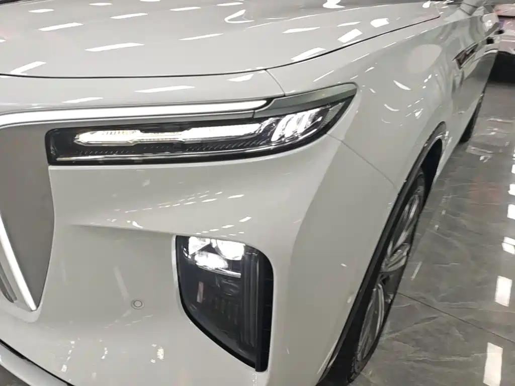 Hongqi Hongqi E-HS9 — миниатюра 24