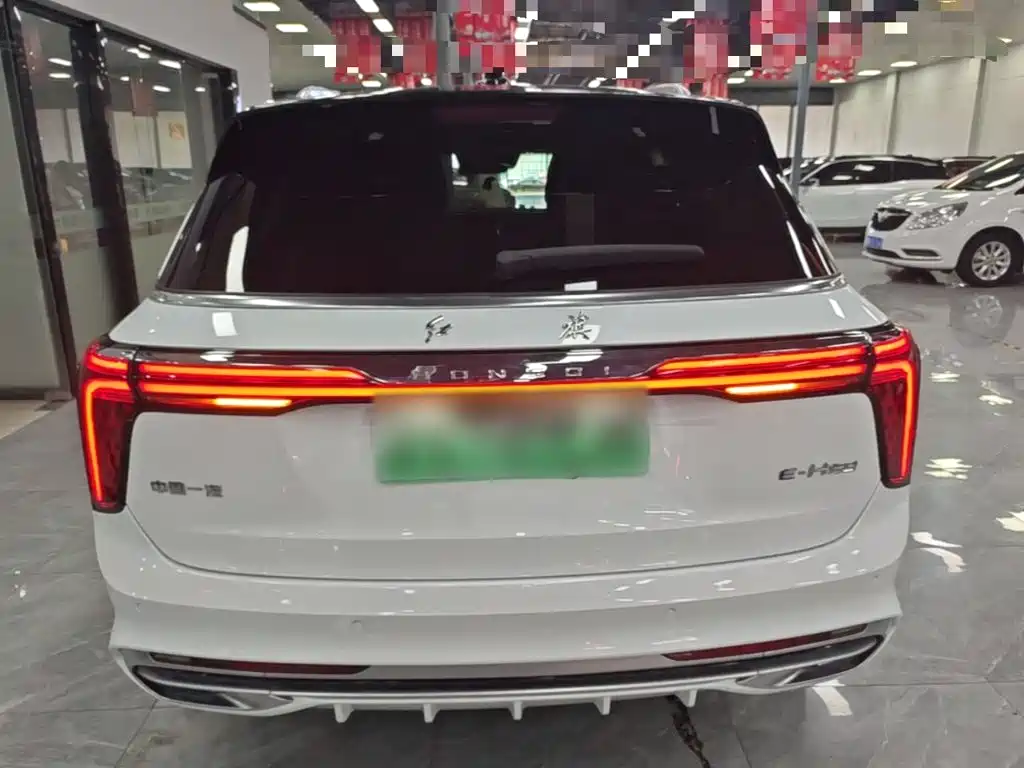 Hongqi Hongqi E-HS9 — миниатюра 6